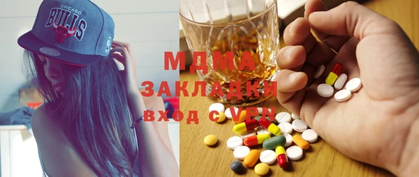 индика Няндома