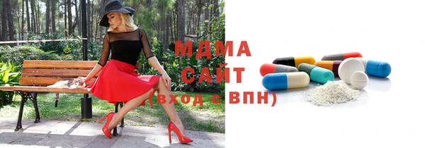 индика Няндома
