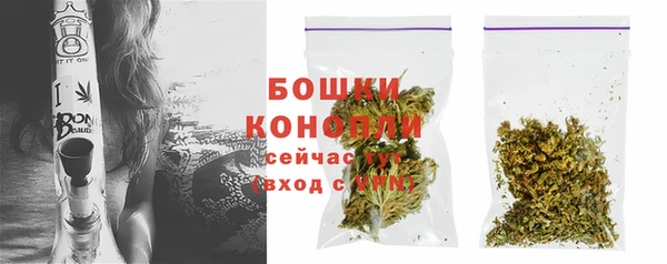 индика Няндома