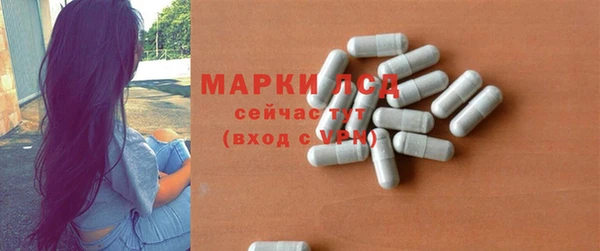 спиды Новодвинск