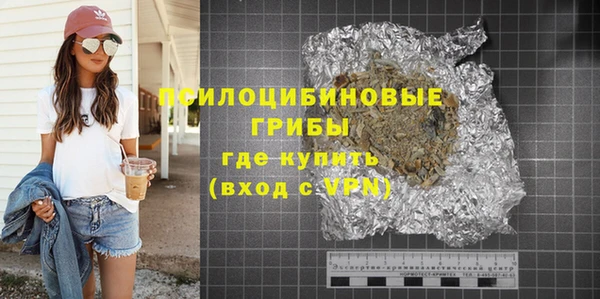 индика Нягань