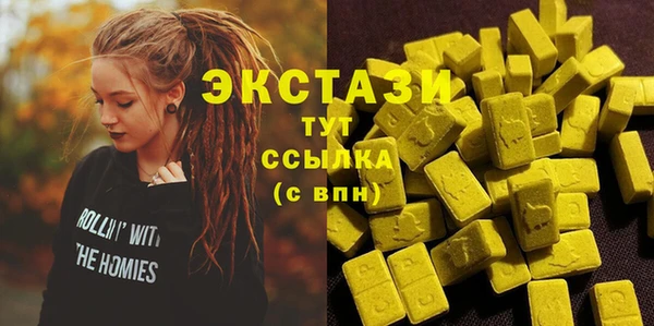 индика Нягань