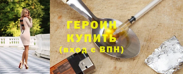 индика Няндома