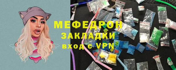 индика Нягань