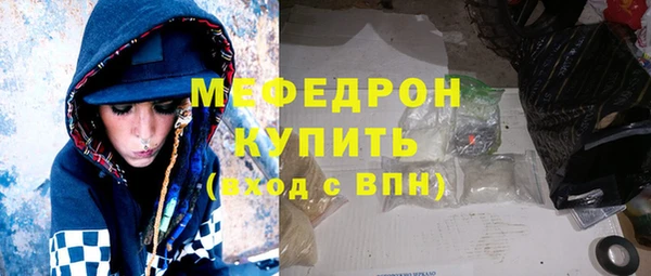 индика Няндома