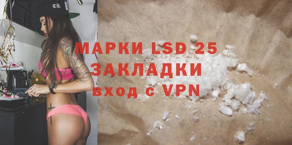 индика Нягань