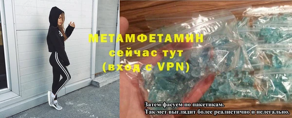 индика Няндома