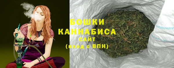 индика Нягань