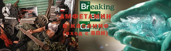 индика Няндома