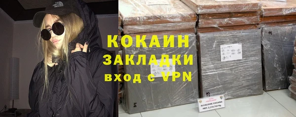 индика Няндома